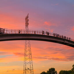 Rosy Sunset