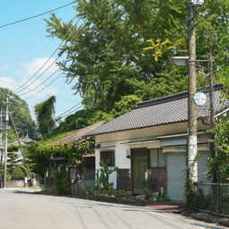 Rural Village